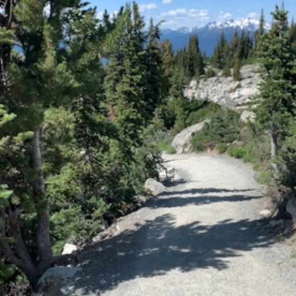 Meet the Posher! ❤️ - Picture 2 of 2